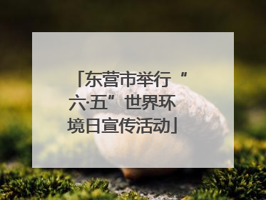 东营市举行“六·五”世界环境日宣传活动