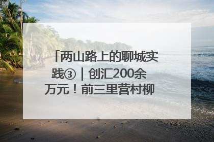 两山路上的聊城实践③｜创汇200余万元！前三里营村柳篱笆畅销西班牙