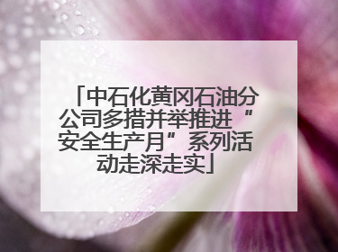 中石化黄冈石油分公司多措并举推进“安全生产月”系列活动走深走实