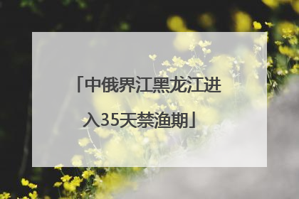 中俄界江黑龙江进入35天禁渔期
