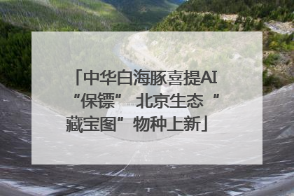 中华白海豚喜提AI“保镖” 北京生态“藏宝图”物种上新