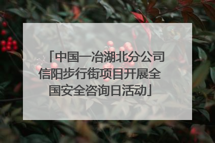 中国一冶湖北分公司信阳步行街项目开展全国安全咨询日活动