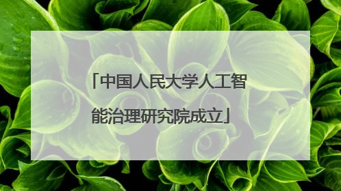 中国人民大学人工智能治理研究院成立