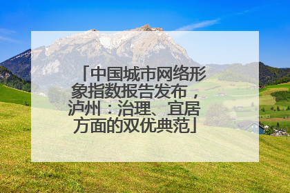 中国城市网络形象指数报告发布，泸州：治理、宜居方面的双优典范