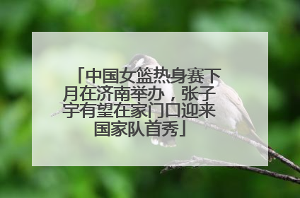 中国女篮热身赛下月在济南举办，张子宇有望在家门口迎来国家队首秀