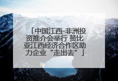 中国江西-非洲投资推介会举行 赞比亚江西经济合作区助力企业“走出去”