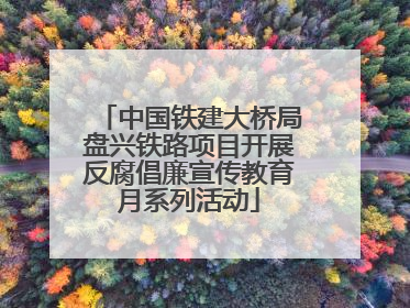 中国铁建大桥局盘兴铁路项目开展反腐倡廉宣传教育月系列活动