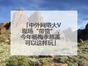 中外网络大V现场“带货”，今年杨梅季慈溪可以这样玩