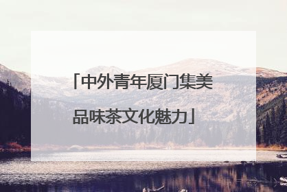 中外青年厦门集美品味茶文化魅力