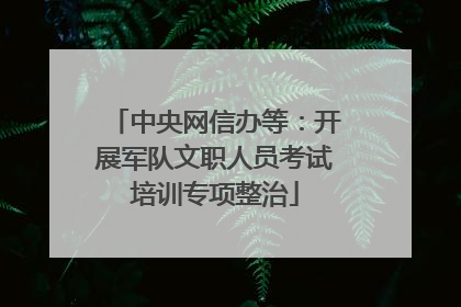 中央网信办等：开展军队文职人员考试培训专项整治