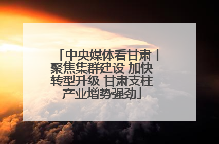 中央媒体看甘肃丨聚焦集群建设 加快转型升级 甘肃支柱产业增势强劲