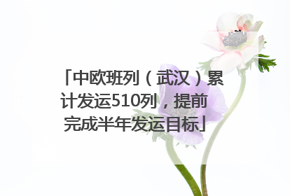 中欧班列（武汉）累计发运510列，提前完成半年发运目标