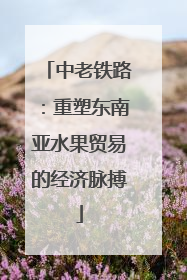 中老铁路：重塑东南亚水果贸易的经济脉搏