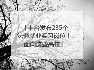 丰台发布235个法务就业实习岗位！面向这些高校