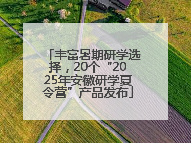 丰富暑期研学选择，20个“2025年安徽研学夏令营”产品发布