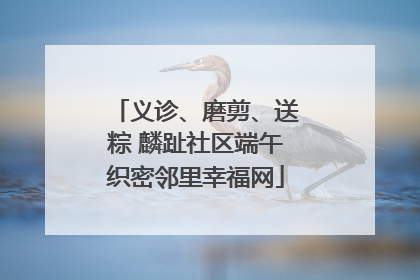 义诊、磨剪、送粽 麟趾社区端午织密邻里幸福网
