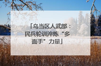 乌当区人武部：民兵轮训淬炼“多面手”力量