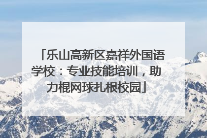 乐山高新区嘉祥外国语学校：专业技能培训，助力棍网球扎根校园