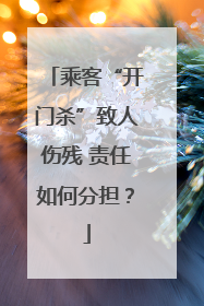 乘客“开门杀”致人伤残 责任如何分担？