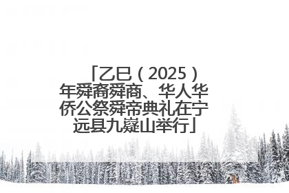 乙巳（2025）年舜裔舜商、华人华侨公祭舜帝典礼在宁远县九嶷山举行