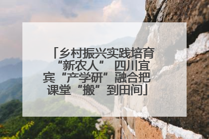 乡村振兴实践培育“新农人” 四川宜宾“产学研”融合把课堂“搬”到田间