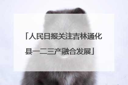 人民日报关注吉林通化县一二三产融合发展