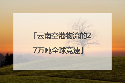 云南空港物流的27万吨全球竞速