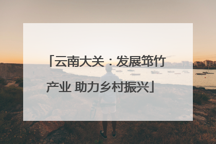 云南大关：发展筇竹产业 助力乡村振兴