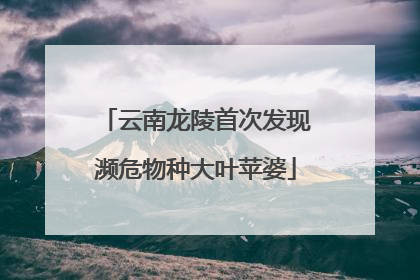 云南龙陵首次发现濒危物种大叶苹婆