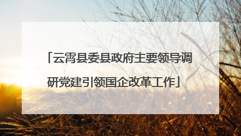 云霄县委县政府主要领导调研党建引领国企改革工作