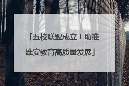 五校联盟成立！助推雄安教育高质量发展