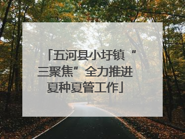 五河县小圩镇“三聚焦”全力推进夏种夏管工作