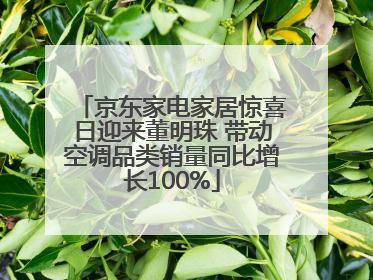 京东家电家居惊喜日迎来董明珠 带动空调品类销量同比增长100%