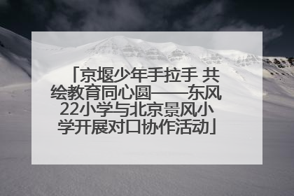 京堰少年手拉手 共绘教育同心圆——东风22小学与北京景风小学开展对口协作活动