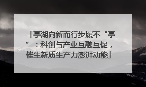 亭湖向新而行步履不“亭”：科创与产业互融互促，催生新质生产力澎湃动能