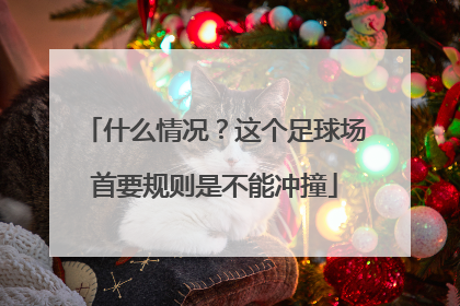 什么情况？这个足球场首要规则是不能冲撞