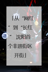 从“网红”到“长红” 沈阳首个非遗街区开街
