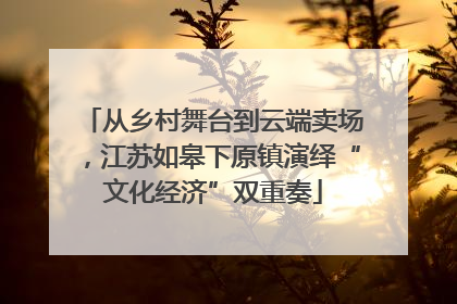 从乡村舞台到云端卖场，江苏如皋下原镇演绎“文化经济”双重奏