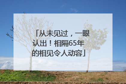从未见过，一眼认出！相隔65年的相见令人动容