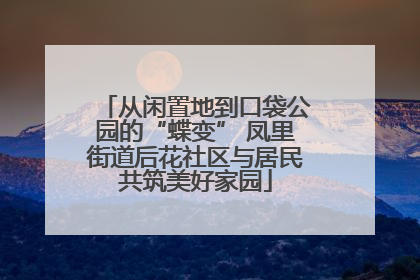 从闲置地到口袋公园的“蝶变” 凤里街道后花社区与居民共筑美好家园