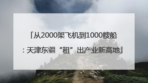 从2000架飞机到1000艘船：天津东疆“租”出产业新高地