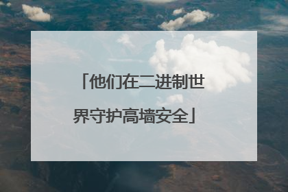 他们在二进制世界守护高墙安全