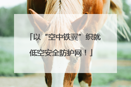 以“空中铁翼”织就低空安全防护网！