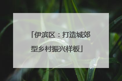 伊滨区：打造城郊型乡村振兴样板