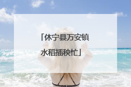 休宁县万安镇水稻插秧忙