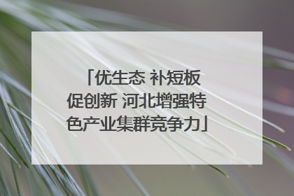 优生态 补短板 促创新 河北增强特色产业集群竞争力