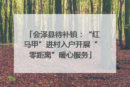 会泽县待补镇：“红马甲”进村入户开展“零距离”暖心服务