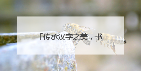传承汉字之美，书写文化自信——滁州市应用技术学校举行“笔墨中国”汉字书写比赛表彰大会