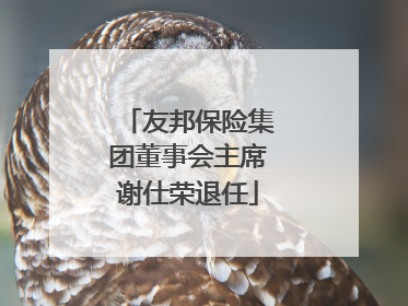友邦保险集团董事会主席谢仕荣退任