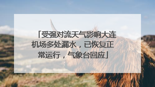 受强对流天气影响大连机场多处漏水，已恢复正常运行，气象台回应